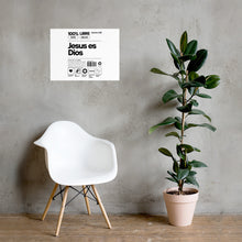 Load image into Gallery viewer, Jesus Es Dios Poster