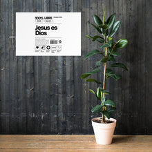 Load image into Gallery viewer, Jesus Es Dios Poster