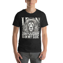 Load image into Gallery viewer, Lion of Judah
